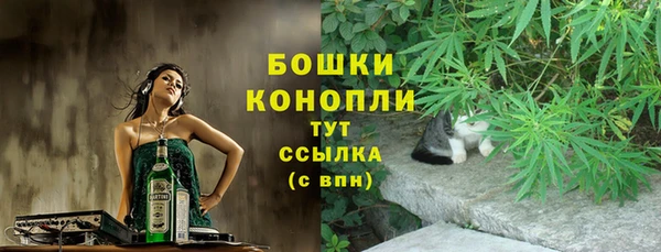 стаф Вязники