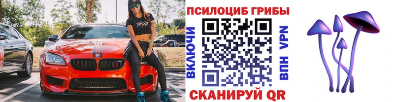 Галлюциногенные грибы MAGIC MUSHROOMS Коммунар